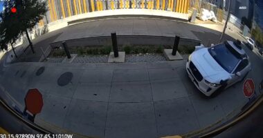 Waymo issues voluntary recall after recorded issues in Texas; vehicles will remain on roads