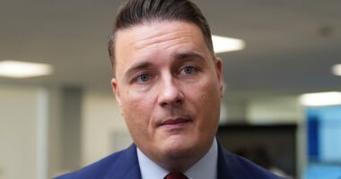 Wes Streeting says Keir Starmer must go further to undo Brexit