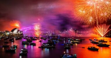 The midnight New Year's Eve fireworks on Sydney Harbour, viewed from Mrs Macquaries Chair. 31 December 2024. Photo: Wolter Peeters, The Sydney Morning Herald.