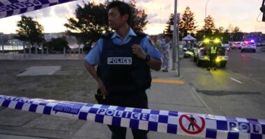 What to know about Australia’s gun laws after deadly Bondi Beach shooting
