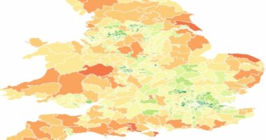 What type of neighbourhood do YOU live in? Search tool reveals if it's a nappy valley or an elderly enclave...
