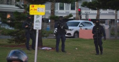 What we know about the Bondi Beach shooting