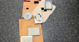 What's inside the Epstein files released by the Justice Department