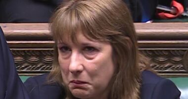 Who's OFF Jan Moir's Christmas card list? The crying and lying political failure. The ultimate West End Girl. And the royals who really deserve their exile. It's the ultimate social rundown