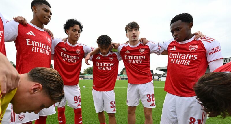 Why Arsenal's 'soft' academy sides went 16 games without a win: How copying the first team went wrong, physicality fears and the looming dilemma the Gunners need to solve