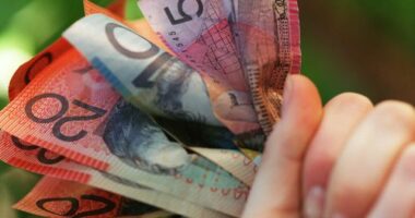 Someone holding a handful of Australian cash.