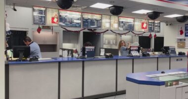 Why you should ship your Christmas gifts as soon as possible, Postal Service experts explain