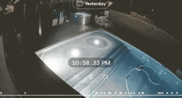 Wild video shows speeding car going airborne, ejects driver into backyard pool