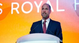 William reminisces as he returns to Wales to give speech at summit