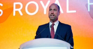 William reminisces as he returns to Wales to give speech at summit