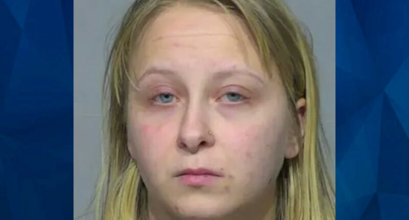 Wisconsin Woman Sideswipes Lyft Driver, Leaving Him in Coma, Then Files False Hit-and-Run Claim With Her Insurance