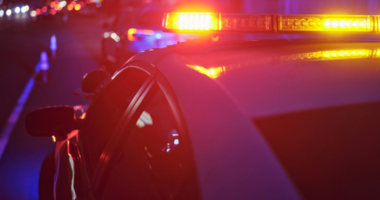 Woman allegedly bites police officer after disturbing 'the King's Peace'