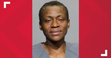 Woman arrested for deadly stabbing of man at Grand Park home