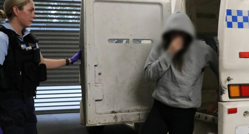 Woman charged after 30 shots fired at Sydney home with kids inside