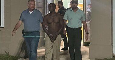 Woman fatally stabbed in Dollar General parking lot by stranger