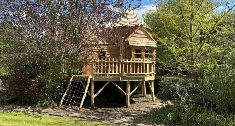 Woman told to rip down giant Harry Potter tree house at £1.2m mansion