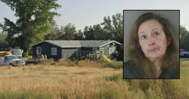 Woman who shot boyfriend during an 'argument over Christmas cookies' said it was an 'accident': Police