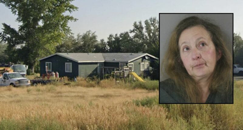 Woman who shot boyfriend during an 'argument over Christmas cookies' said it was an 'accident': Police