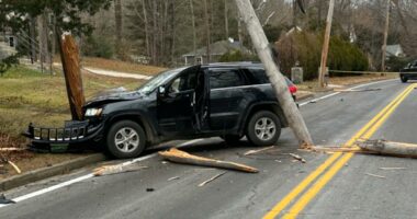 Woman with 100 prior arrests faces judge after crash that killed Grammy-nominated musician