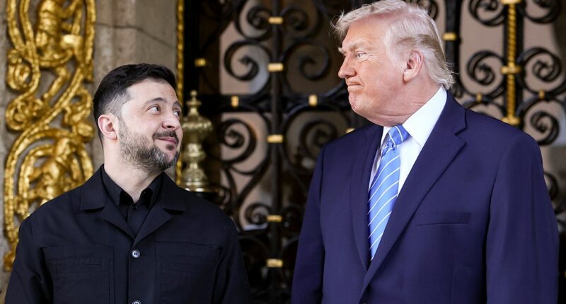 Zelenskyy claims Trump said US will consider giving Ukraine decades of security guarantees