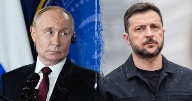 Zelenskyy denies Russian claim that Ukraine attacked Putin residence