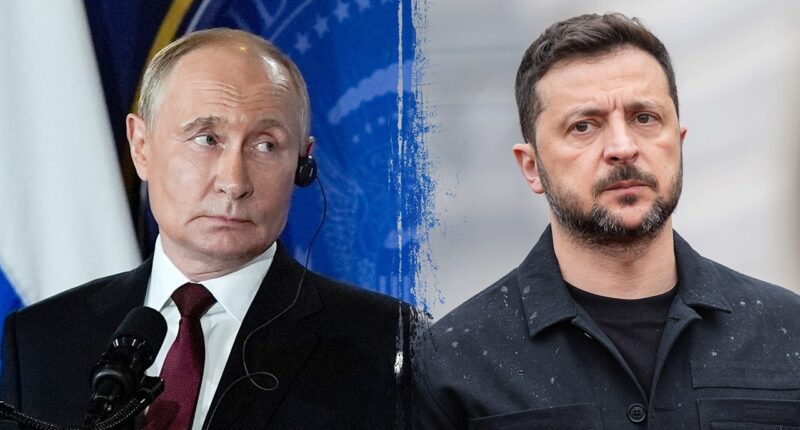 Zelenskyy denies Russian claim that Ukraine attacked Putin residence