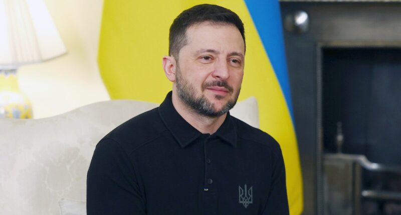Zelenskyy encouraged by 'very good' Christmas talks with US