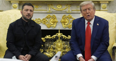 Zelenskyy says he will meet with Trump in Florida on Sunday for talks on Ukraine security guarantees