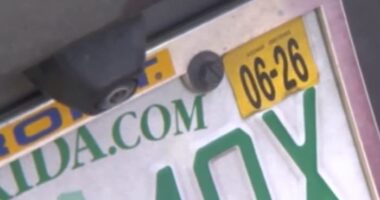 ‘A simple fate:’ Florida Gov. DeSantis promises to veto this license plate rule