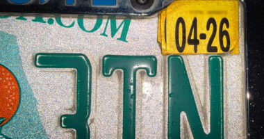 ‘No longer needed:’ Florida official recommends taking exit ramp from outdated registration decals