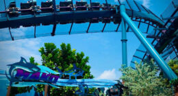 ‘Random aerial bird strike:’ SeaWorld Orlando responds to coaster rider’s ‘duck’ lawsuit