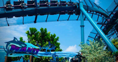 ‘Random aerial bird strike:’ SeaWorld Orlando responds to coaster rider’s ‘duck’ lawsuit