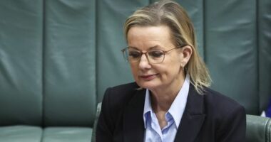 Opposition leader Sussan Ley during Question Time at Parliament House in Canberra on Monday 24 November 2025.