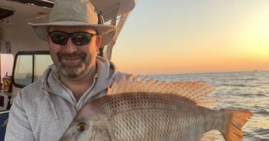 Danny Flint passport story