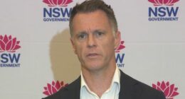NSW Premier Chris Minns announces new powers for councils across the state.