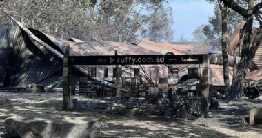 A major bushfire that has desï»¿troyed homes and left three people missing in central Victoria has created scenes that a local firefighter has likened to an "atomic bomb".