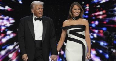 'The America we thought we knew before Trump is not coming back'