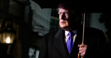 Donald Trump has threatened a takeover of Greenland.