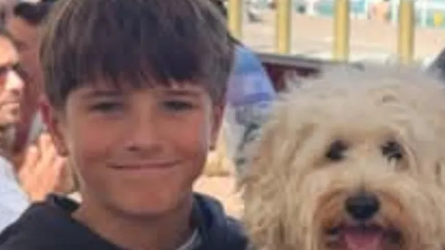 12-year-old Nico Antic was attacked by a shark in Vaucluse on Sunday.