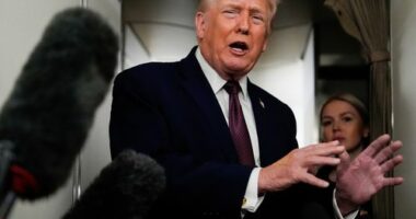 'You know what their defence is? Two dog sleds'