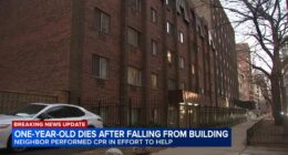 1-year-old boy dies after fall from Edgewater, Chicago building in 5800-block of North Sheridan Road: police department