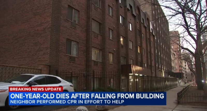 1-year-old boy dies after fall from Edgewater, Chicago building in 5800-block of North Sheridan Road: police department