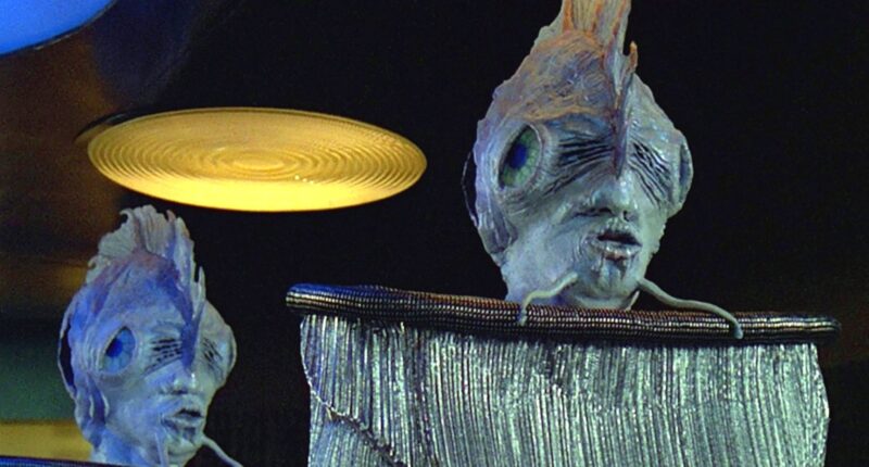 10 Sneaky Star Trek Cameos You Probably Missed