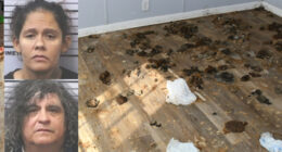 14-Year-Old Girl Found Living Alone With Dogs for MONTHS