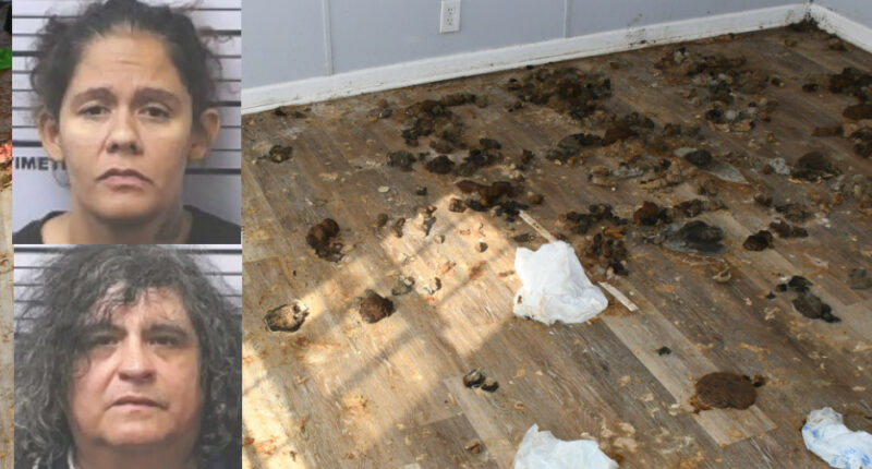 14-Year-Old Girl Found Living Alone With Dogs for MONTHS