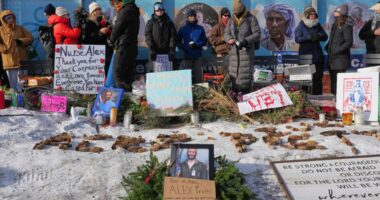 Protesters demand immigration agents leave Minneapolis after man is shot and killed during crackdown