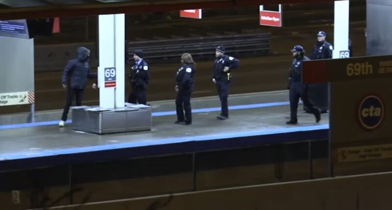 2 stabbed on CTA Red Line platform at 69th Street on South Side, Chicago police say