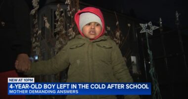 4-year-old boy left in cold after being dropped off by school bus driver on South Side, CPS parent Rashia Pickett says