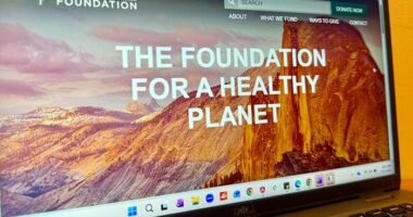 A former Sierra Club Foundation director sues over internal racism that he says hinders its mission