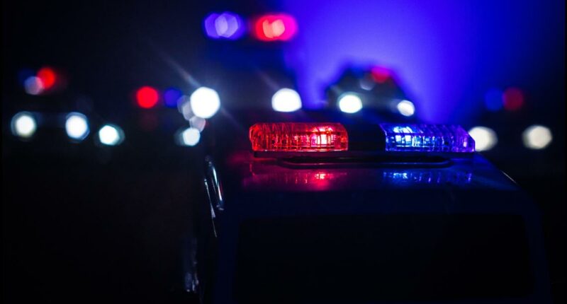 'A horror movie come to life' | Man arrested in Pennsylvania allegedly had hundreds of human remains in his home